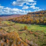 Property photo for land for sale in Boone County Arkansas