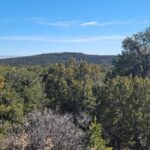 Property photo for land for sale in Torrance County New Mexico