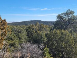 Property photo for land for sale in Torrance County New Mexico