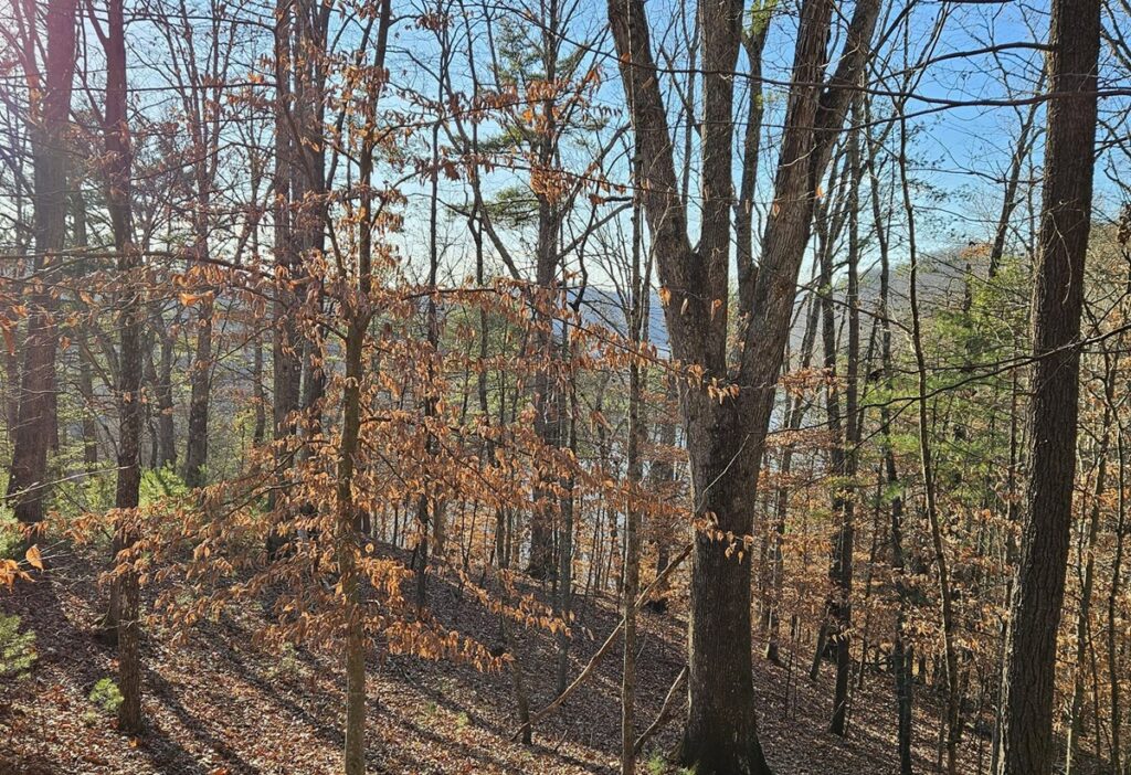 Property photo for land for sale in Pulaski County Virginia