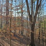 Property photo for land for sale in Pulaski County Virginia