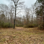 Property photo for land for sale in Harrison County Texas