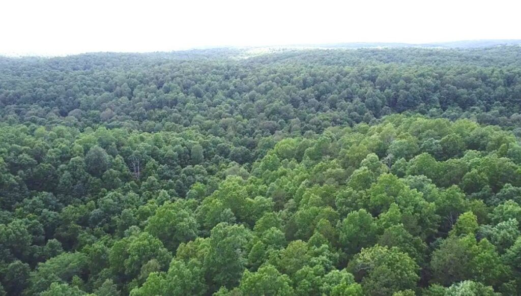 Property photo for land for sale in Texas County Missouri