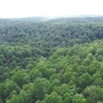 Property photo for land for sale in Texas County Missouri