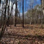 Property photo for land for sale in Campbell County Virginia