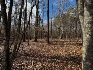 Property photo for land for sale in Campbell County Virginia