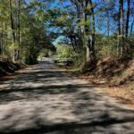 Property photo for land for sale in Pike County Mississippi