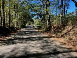 Property photo for land for sale in Pike County Mississippi