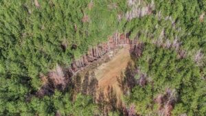 Property photo for land for sale in Franklin County Mississippi