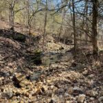 Property photo for land for sale in Ozark County Missouri