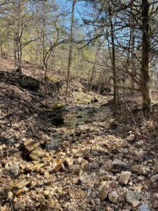 Property photo for land for sale in Ozark County Missouri