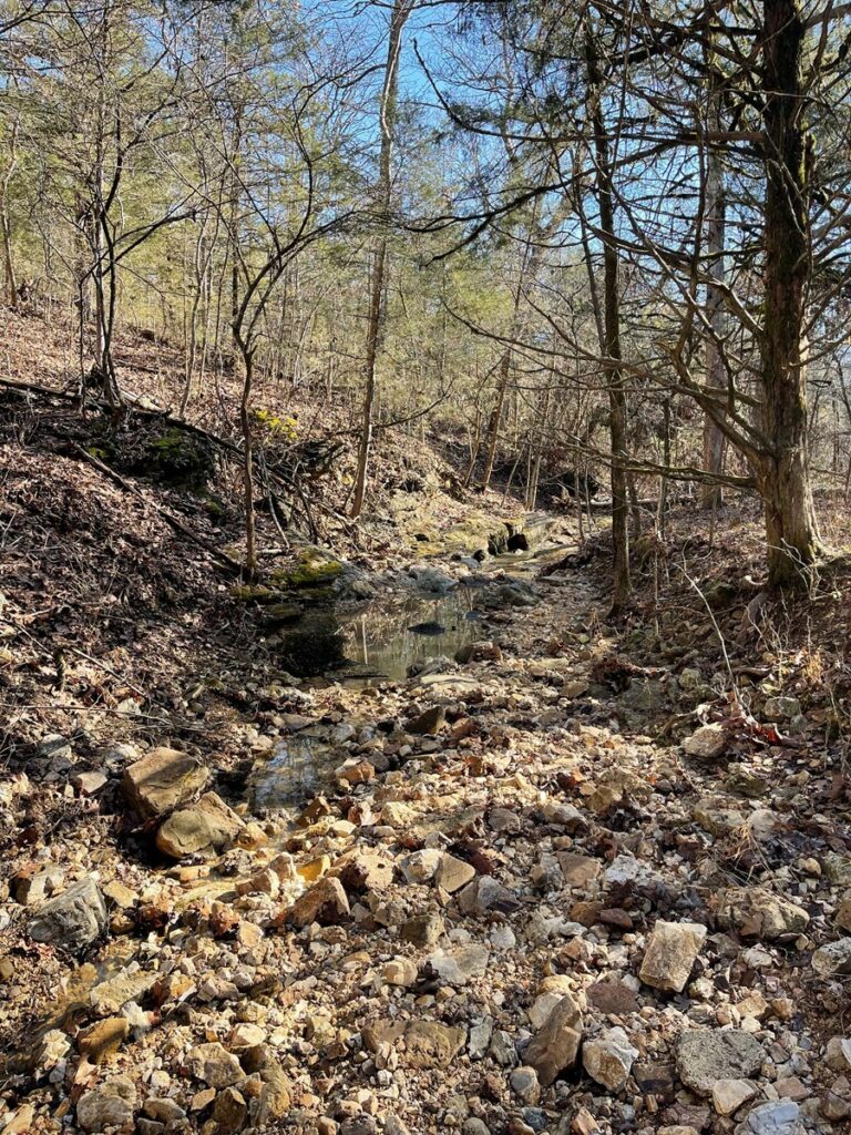 Property photo for land for sale in Ozark County Missouri