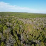 Property photo for land for sale in Pushmataha County Oklahoma