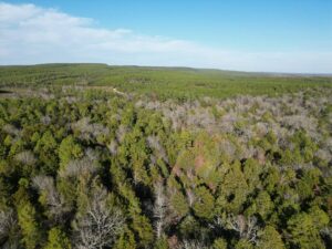 Property photo for land for sale in Pushmataha County Oklahoma