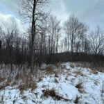 Property photo for land for sale in Pine County Minnesota