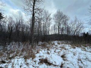 Property photo for land for sale in Pine County Minnesota