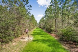 Property photo for land for sale in Pike County Mississippi