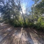 Property photo for land for sale in Dixie County Florida