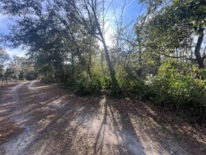 Property photo for land for sale in Dixie County Florida