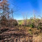 Property photo for land for sale in Cleburne County Arkansas