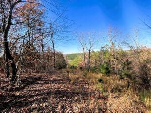 Property photo for land for sale in Cleburne County Arkansas