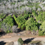 Property photo for land for sale in Cass County Texas