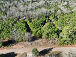 Property photo for land for sale in Cass County Texas