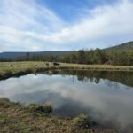 Property photo for land for sale in Scott County Arkansas