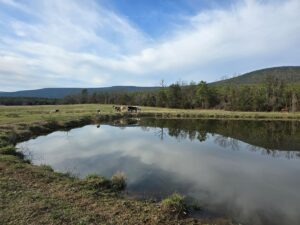 Property photo for land for sale in Scott County Arkansas