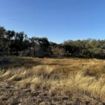 Property photo for land for sale in Brown County Texas