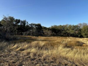 Property photo for land for sale in Brown County Texas