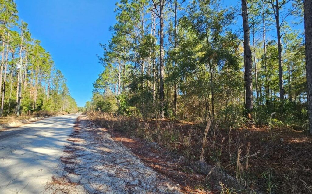 Property photo for land for sale in Gilchrist County Florida