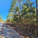 Property photo for land for sale in Gilchrist County Florida