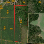 Property photo for land for sale in Cass County Texas