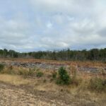 Property photo for land for sale in Cleveland County Arkansas