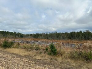 Property photo for land for sale in Cleveland County Arkansas