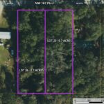 Property photo for land for sale in Levy County Florida