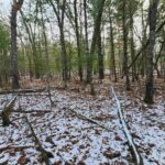 Property photo for land for sale in Waupaca County Wisconsin