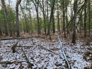 Property photo for land for sale in Waupaca County Wisconsin