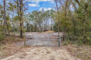 Property photo for land for sale in Gilchrist County Florida