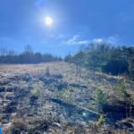 Property photo for land for sale in Claiborne County Tennessee