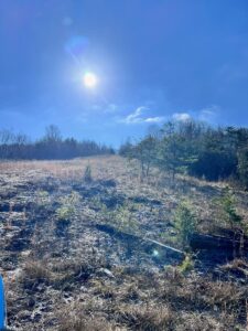 Property photo for land for sale in Claiborne County Tennessee