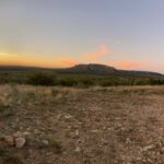 Property photo for land for sale in Coke County Texas