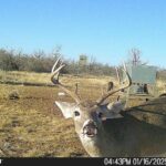 Property photo for land for sale in Coleman County Texas