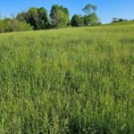 Property photo for land for sale in Washington County Virginia