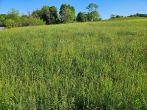 Property photo for land for sale in Washington County Virginia