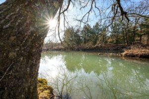 Property photo for land for sale in Le Flore County Oklahoma