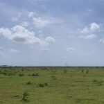 Property photo for land for sale in Nueces County Texas