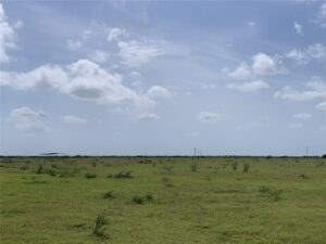 Property photo for land for sale in Nueces County Texas