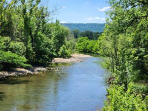 Property photo for land for sale in Le Flore County Oklahoma